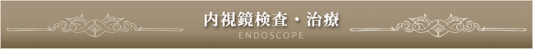 内視鏡検査・治療